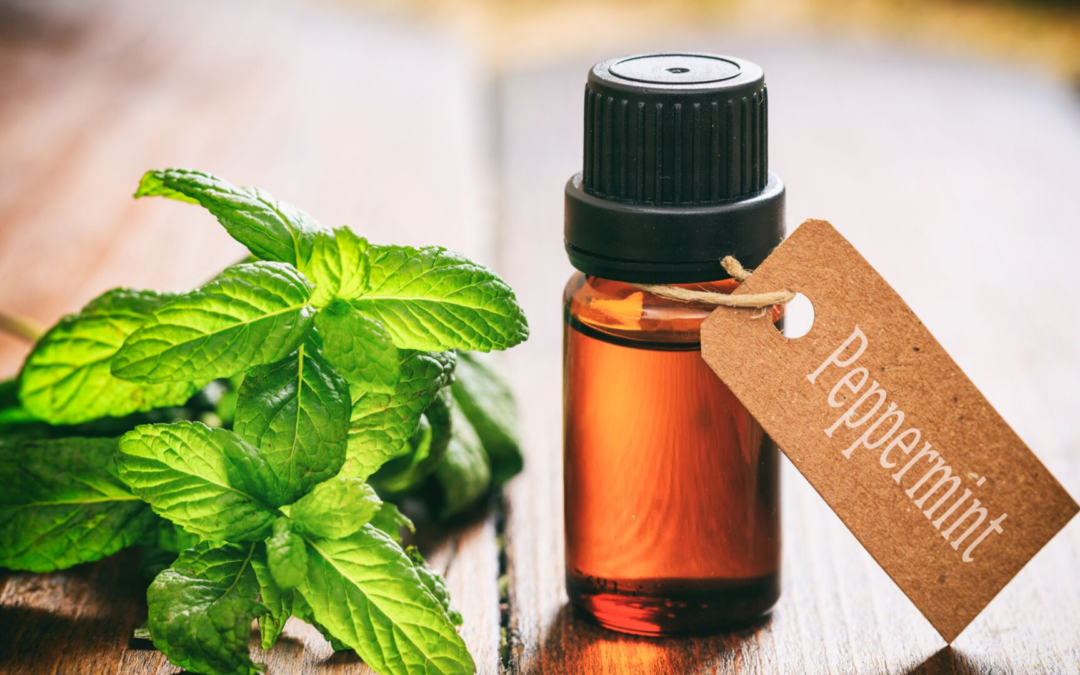 Natural Insect Repellents (That Also Smell Great)